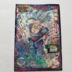 ドラゴンボールヒーローズ 孫悟飯 SH レアリティカード