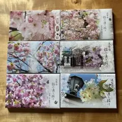 2025年最新】桜の通り抜け記念 貨幣セット 平成6年の人気