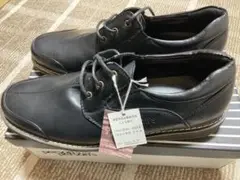 Item thumbnail for item b45457db-76d6-4278-b927-4cd5529202c0