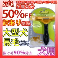Item thumbnail for item b94aa77f-b2d8-4a11-801e-2603f72a151b