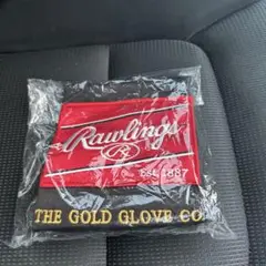 Rawlings THE GOLD GLOVE CO. グラブ袋 ローリングス