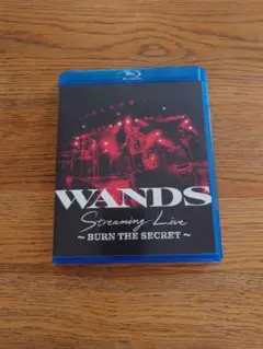 WANDS「Streaming Live 〜BURN THE SECRET〜」