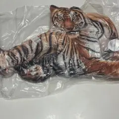 リアルトラクッション