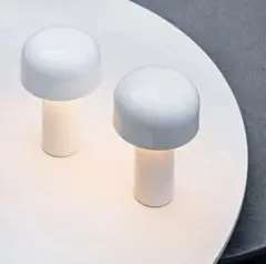 Item thumbnail for item d01ddefa-f2c2-4aab-a3a2-6491988ae679