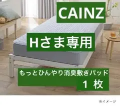 未使用 もっとひんやり消臭敷パッド Pitapa パープル シングル 1枚