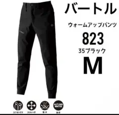 Item thumbnail for item 1aa75065-ed80-4827-96bc-6eec27f3f656