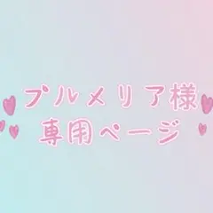 プルメリア　様　専用ページ