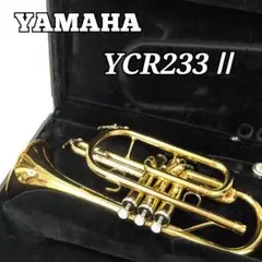 Item thumbnail for item 87ef0cce-a34f-45b2-a59f-2e3ca7383e85