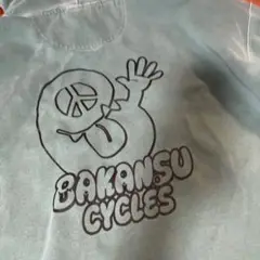 Item thumbnail for item b01e9dd5-5461-462e-93ee-b0582cb71850