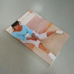 南野陽子写真