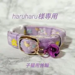 Item thumbnail for item 6304b390-08ee-4e63-899b-04e58243cc19