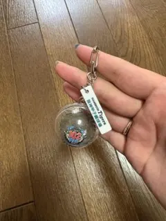 阪神タイガース 102モデル キーホルダー