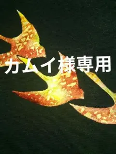 黒地の名古屋帯 刺繍の鳥文様 八寸 正絹 松葉仕立