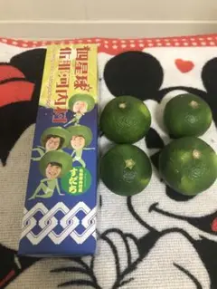 四星球 佐那河内村 すだち4個セット