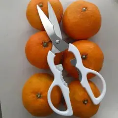 Item thumbnail for item f88ebf5d-2751-4e97-8c52-3d6a05b778fa