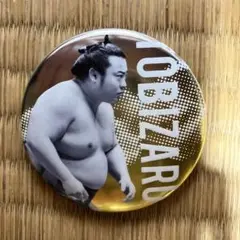 飛猿 バッジ