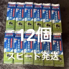 未解体　牛乳パック
