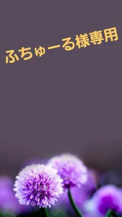 【10枚】アビブ abib 弱酸性pHシートマスク ドクダミ