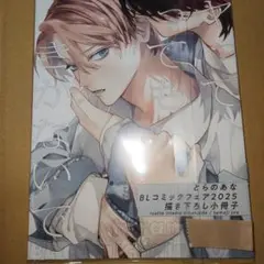 『とらのあなBLコミックフェア2025』イヤって言ってもきかないで小冊子1点