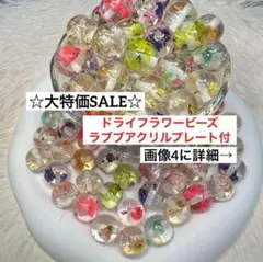 【大特価売り切りSALE】ドライフラワービーズセット③まとめ　ラブブ　スヌパーツ
