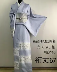 新品正絹紬地訪問着　たてぶし紬　柿渋染　証紙付き　⑨