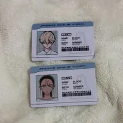 【正規品】 ルカ ヒョナ エイステ IDカード エイリアンステージ
