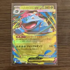 ポケカ　メガフシギバナex