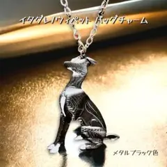 イタグレ　愛犬 ankoわんこシリーズ　キーホルダー　犬　dog 2025年最新】イタグレチャームの人気アイテム - メルカリ