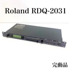【完動品】Roland ローランド 2ch デジタルEQ RDQ-2031