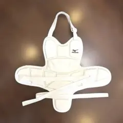 Mizuno 空手防具胴プロテクターMサイズ ホワイト