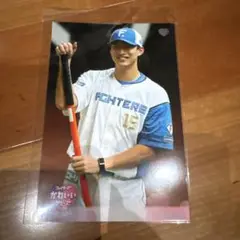 (即購入OK)達孝太 ハイライトフォト