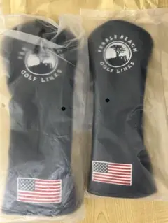 Item thumbnail for item a3fb5951-7928-4955-bd20-76530ac762c3