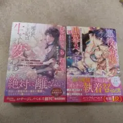 気づいた時には十八禁乙女ゲームの悪役令嬢でしたので、悪役になる前に家出をしたら…