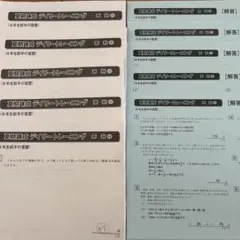 最新版算数SAPIX6年夏期練成デイリートレーニング01-05欠番なし