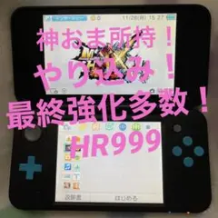 Newニンテンドー2DS LL モンスターハンターXX