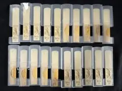 Item thumbnail for item 028a83ff-5cee-45ee-9e73-4932ca1a4594