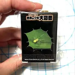新品未開封　世界のクモ大図鑑　ガチャ　ざ・標本付き　ニコヤカヒメクモ