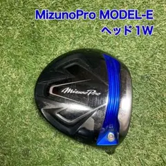 ヘッド　Mizuno Pro モデルE ドライバー　ミズノプロ　1W