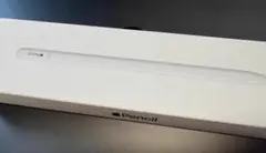 Apple Pencil (USB-C)