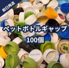 ペットボトルキャップ 100個セット Ⅰ