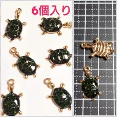 ウミガメ ホヌチャーム6個入り
