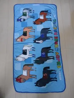 新品　JRA　グリーンチャンネル　25周年　おがわじゅり　ブランケット