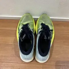 Item thumbnail for item 720b60bf-5ade-4752-bb66-c301e745e5ed