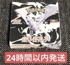 24時間以内発送　ホワイトフレア　20パック