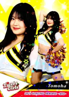 Item thumbnail for item e6bd1ad5-e8dd-4a1f-8a17-46ee5a5ce522