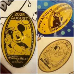 ディズニー　スーベニアメダル　マンスリー　8月　3枚