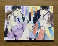 イジワル王子はめちゃくちゃに愛したい。 TLコミックティーンズラブ 女性漫画