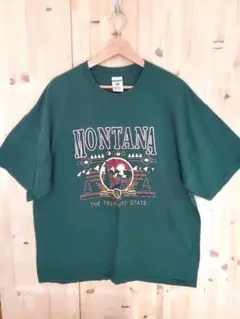 送料無料 US古着 ジャージーズ プリントビッグTシャツ グリーン