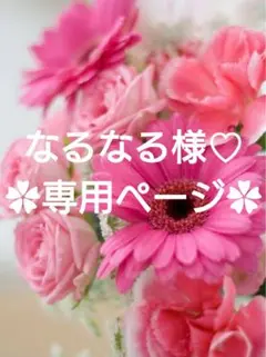 なるなる様♡専用ページ.。.:*♡✿ฺ