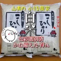 新米 コシヒカリ 酵素米 お米 玄米 10キロ「 標準 白米に精米」【希少】